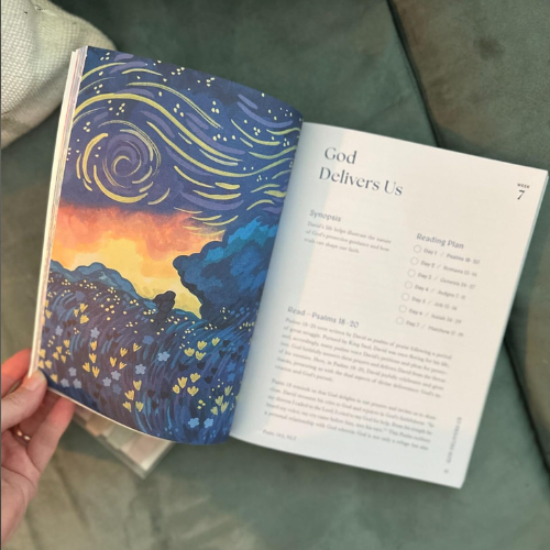 A Beautiful Year in the Bible: The 52-Week Bible Study for Women