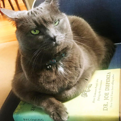 Becoming Supernatural: How Common People Are Doing the Uncommon