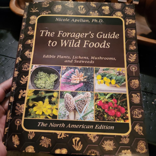 The Forager’s Guide to Wild Foods