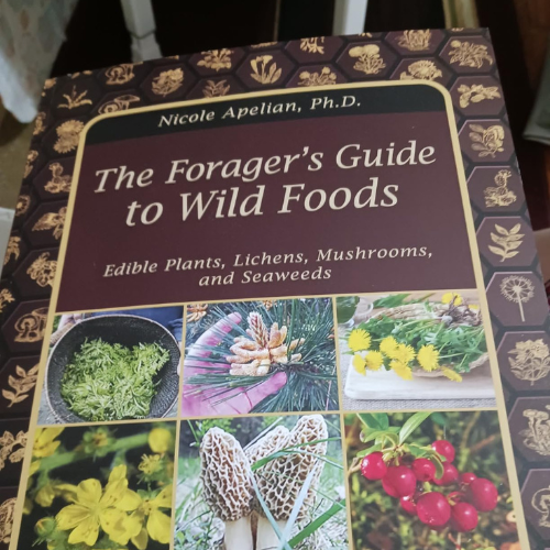 The Forager’s Guide to Wild Foods