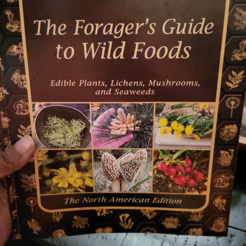 The Forager’s Guide to Wild Foods