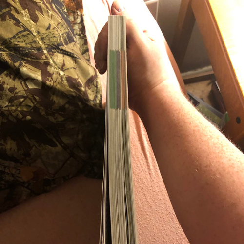 The Forager’s Guide to Wild Foods