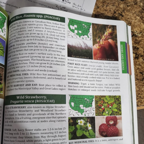 The Forager’s Guide to Wild Foods