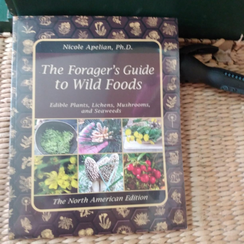 The Forager’s Guide to Wild Foods