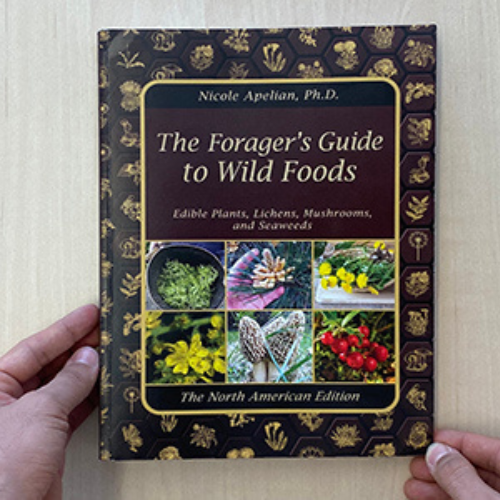 The Forager’s Guide to Wild Foods