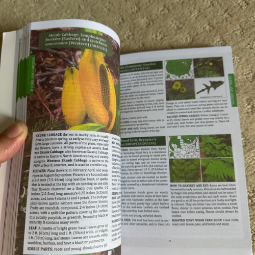 The Forager’s Guide to Wild Foods