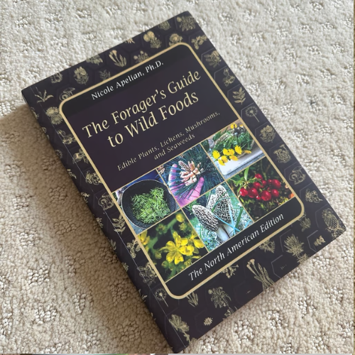 The Forager’s Guide to Wild Foods