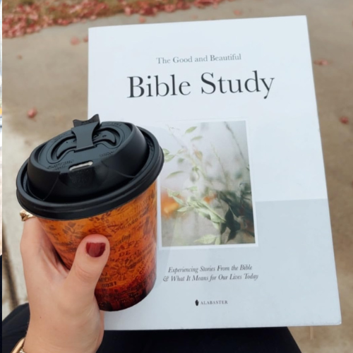 The Good and Beautiful Bible Study: Experiencing Stories From the Bible and What It Means for Our Lives Today