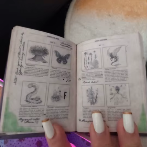 Advanced Potion-Making Hardcover Blank Notebook