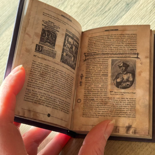 Advanced Potion-Making Hardcover Blank Notebook