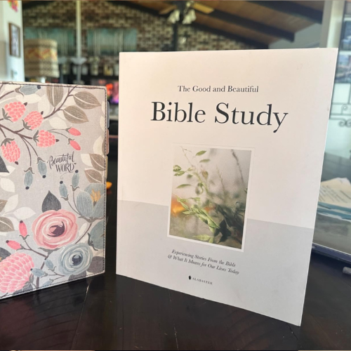 The Good and Beautiful Bible Study: Experiencing Stories From the Bible and What It Means for Our Lives Today