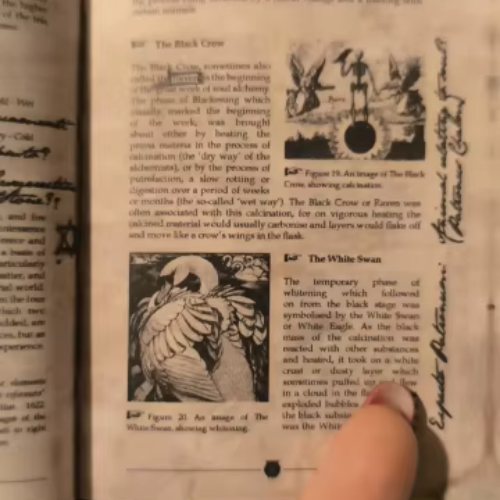 Advanced Potion-Making Hardcover Blank Notebook