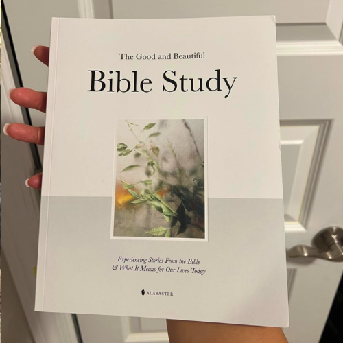 The Good and Beautiful Bible Study: Experiencing Stories From the Bible and What It Means for Our Lives Today