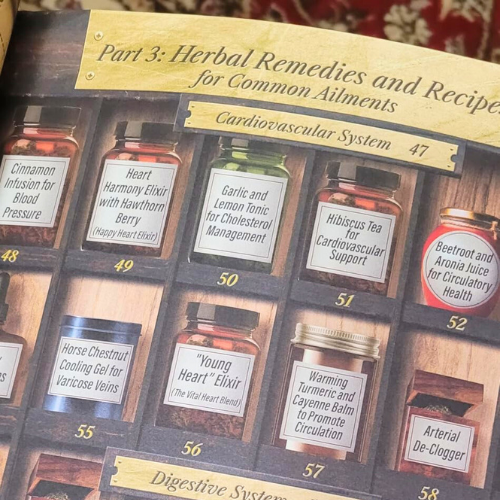 Forgotten Home Apothecary: 250 Powerful Remedies at Your Fingertips Paperback