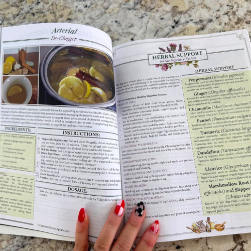 Forgotten Home Apothecary: 250 Powerful Remedies at Your Fingertips Paperback