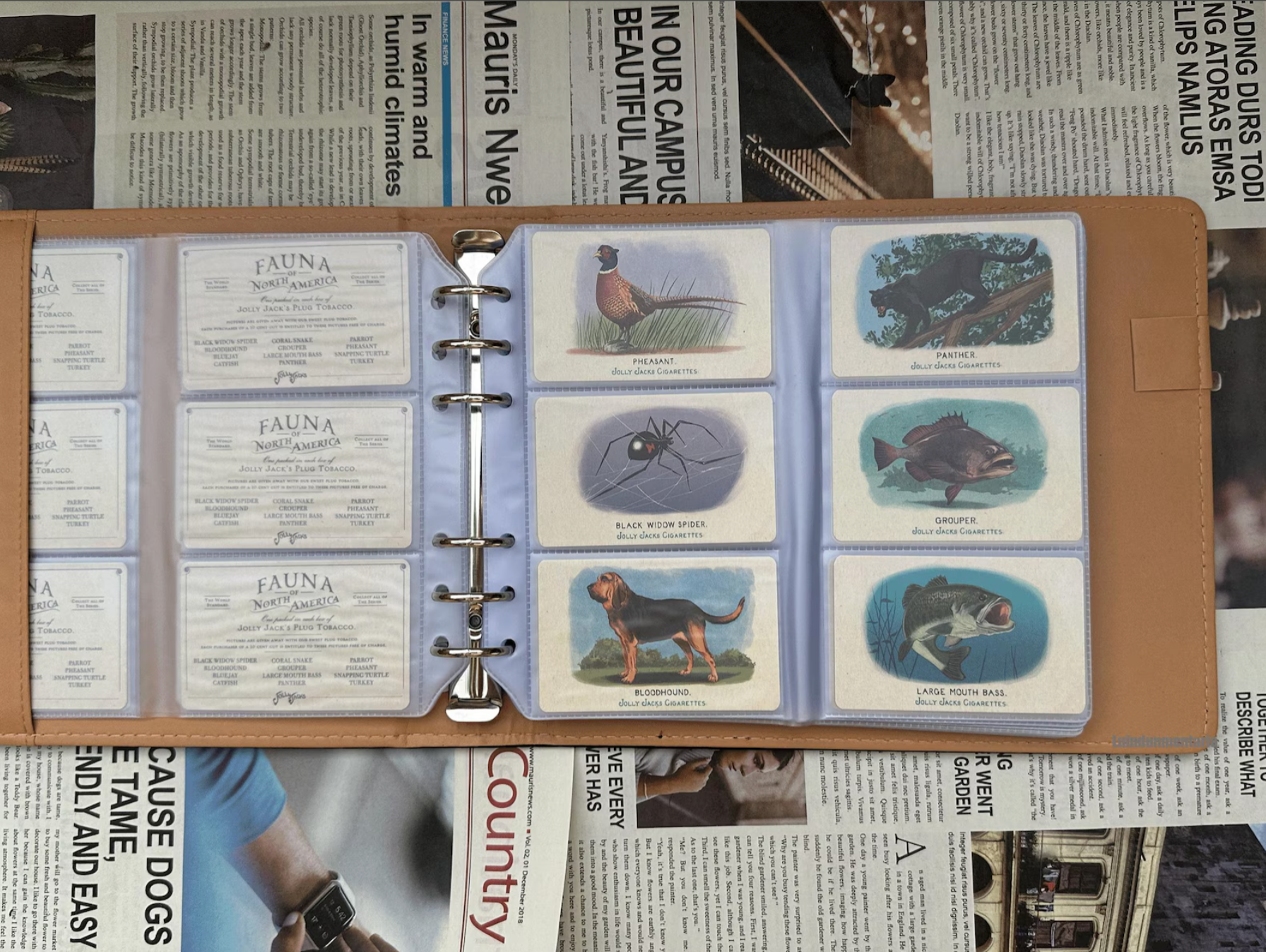 Red Dead Redemption 2 Collectible Card Book,Cigarette Card,Game Character,Cosplay,RDR2