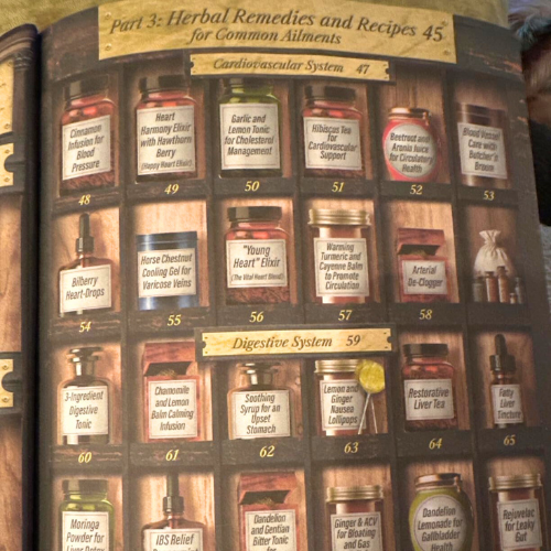 Forgotten Home Apothecary : 250 Powerful Remedies at Your Fingertips