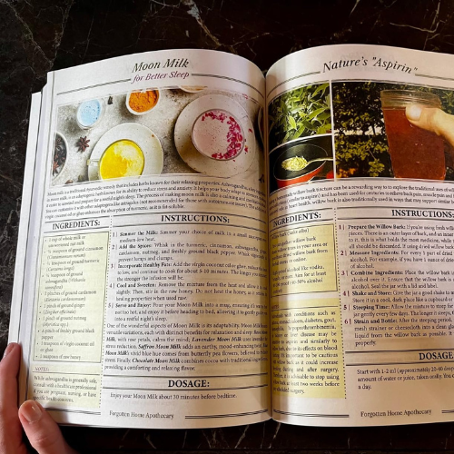 Forgotten Home Apothecary : 250 Powerful Remedies at Your Fingertips