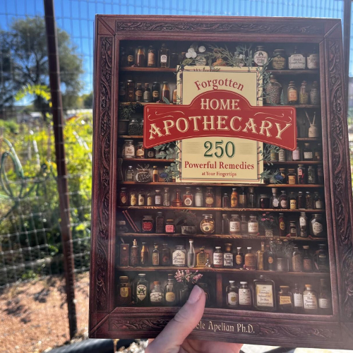 Forgotten Home Apothecary : 250 Powerful Remedies at Your Fingertips