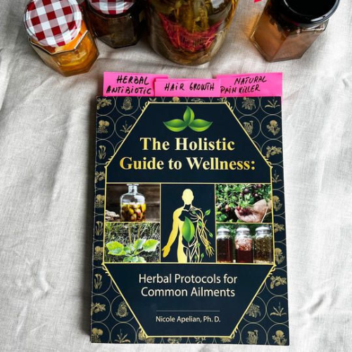 The Holistic Guide to Wellness : Herbal Protocols for Common Ailments