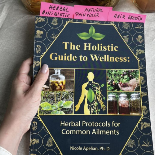 The Holistic Guide to Wellness : Herbal Protocols for Common Ailments