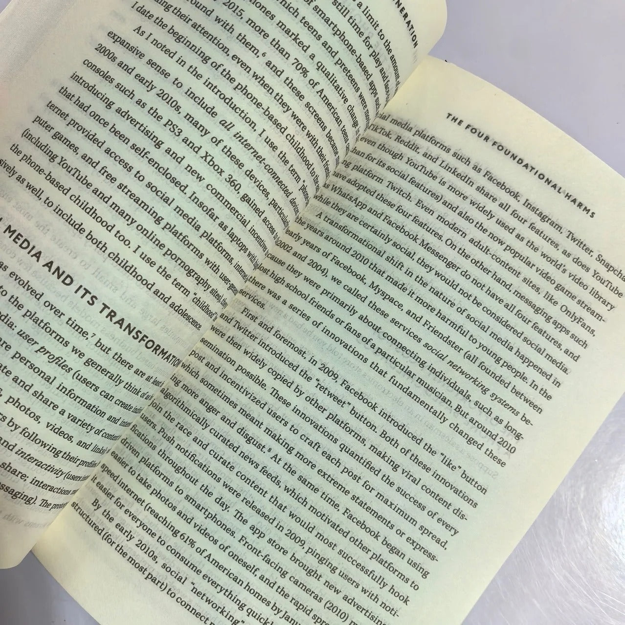 Bview Art The Anxious Generation: NYT Bestseller on Digital Age Anxiety & Mental Wellness Guide