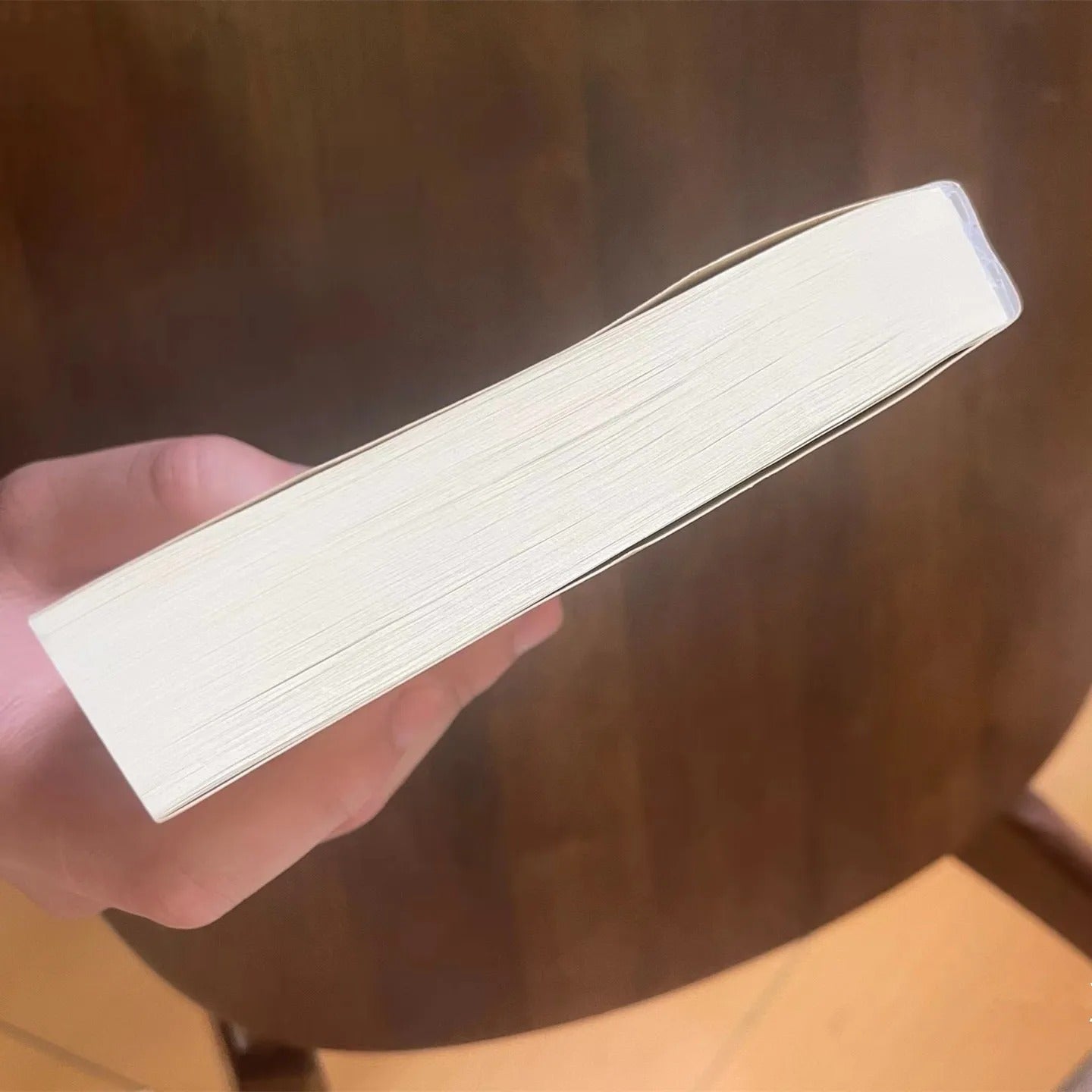 Game Red Dead Redemption 2 Arthur Morgan Diary Book Collection