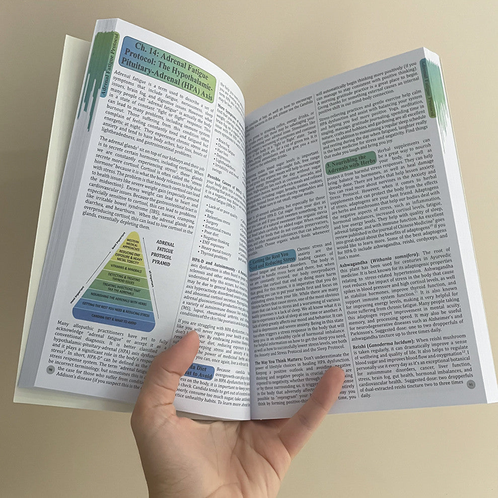 The Holistic Guide to Wellness : Herbal Protocols for Common Ailments